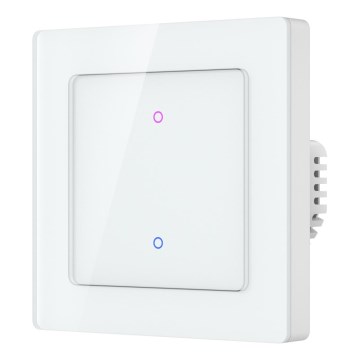 Immax NEO 07539L - 2-painikkeinen älykytkin 230 V, Wi‑Fi, Tuya
