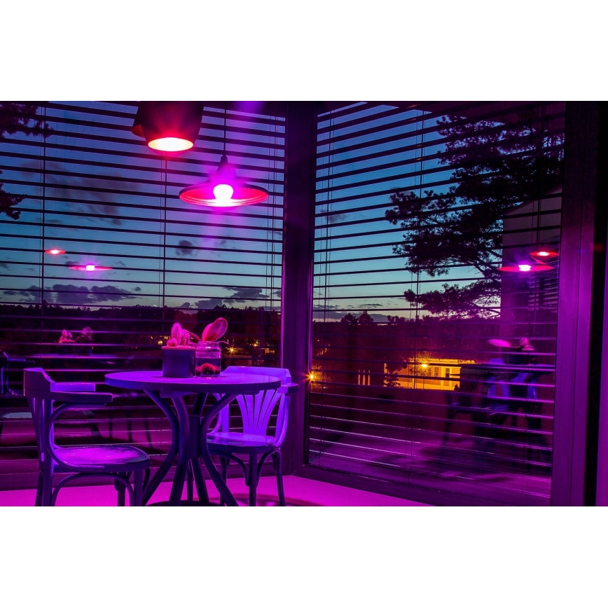 Immax NEO 07745L - LED RGB+CCT Himmennettävä lamppu E14/6W/230V 2700-6500K Wi-Fi Tuya