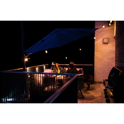 LED RGB+CCT Himmennettävä ulko ketju SEPPELE 15xLED/1W/230V 15m Wi-Fi Tuya IP65 + kauko-ohjaus
