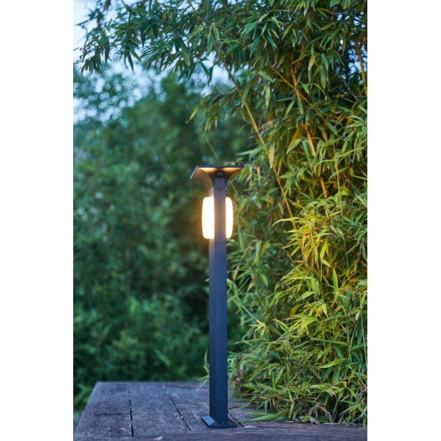 Immax NEO 07904L - LED RGB+CW/W Himmennettävä aurinkokennolamppu ANEL LED/2W/5V IP54 Tuya