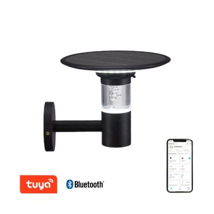 Immax NEO 07907L - LED RGB+CW/W Himmennettävä aurinko seinävalaisin BUBBLES LED/2W/5,5V IP54 Tuya