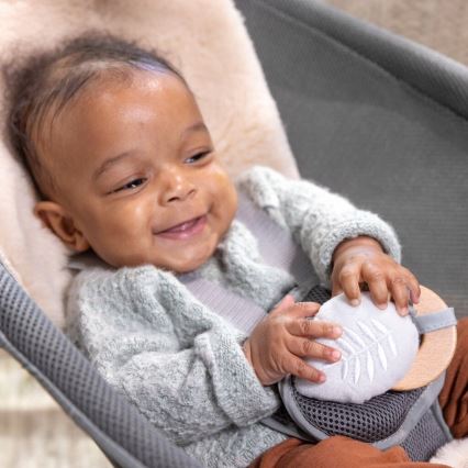 Ingenuity - Lasten värisevä lepotuoli melodialla EVERY SEASON WESLEY 3xC harmaa