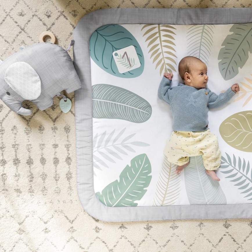 Ingenuity - Lasten pelipeitto SPROUT SPOT