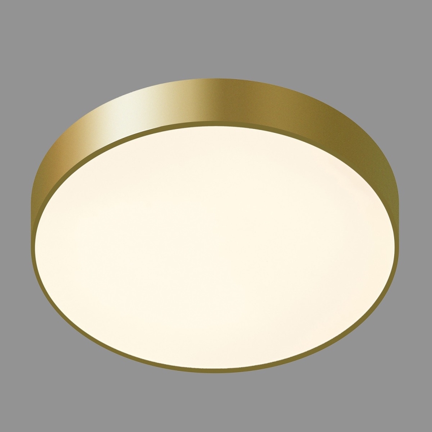 ITALUX - LED-kattovalaisin ORBITAL LED/30W/230V 3000K kulta