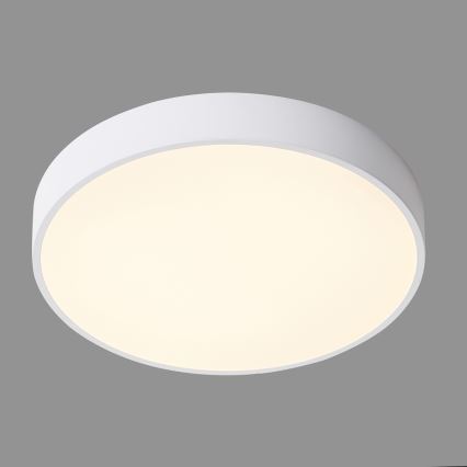 ITALUX - LED-kattovalaisin ORBITAL LED/30W/230V 3000K valkoinen