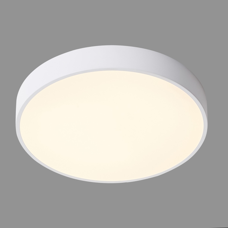 ITALUX - LED-kattovalaisin ORBITAL LED/30W/230V 3000K valkoinen