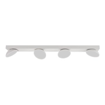 ITALUX - LED-kohdevalaisin CASTELIO 4xLED/5W/230V 4000K valkoinen
