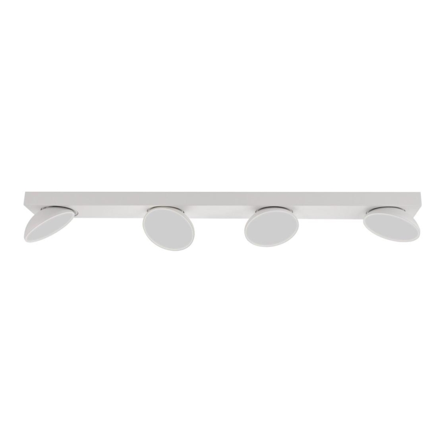 ITALUX - LED-kohdevalaisin CASTELIO 4xLED/5W/230V 4000K valkoinen