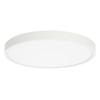 ITALUX - LED-kattovalaisin RIBERIO LED/30W/230V 3000K valkoinen