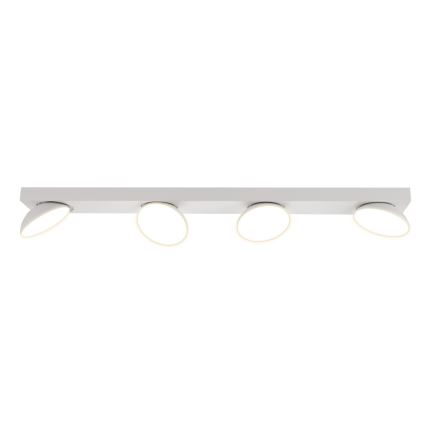 ITALUX - LED-kohdevalaisin CASTELIO 4xLED/5W/230V 4000K valkoinen