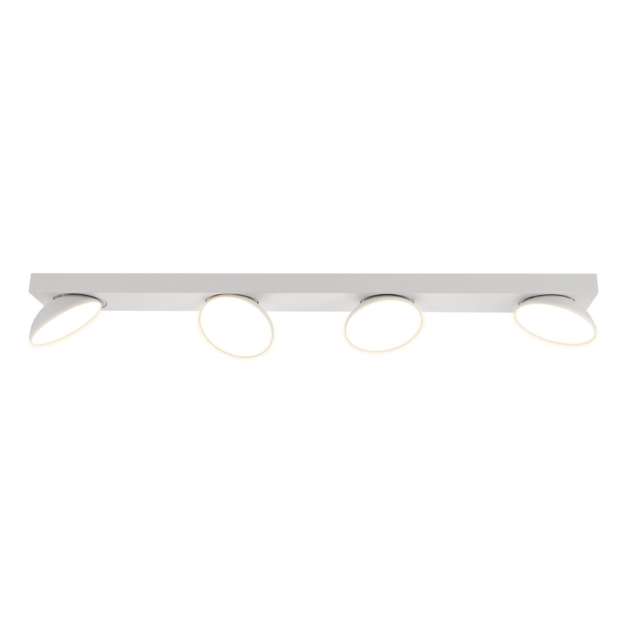 ITALUX - LED-kohdevalaisin CASTELIO 4xLED/5W/230V 4000K valkoinen