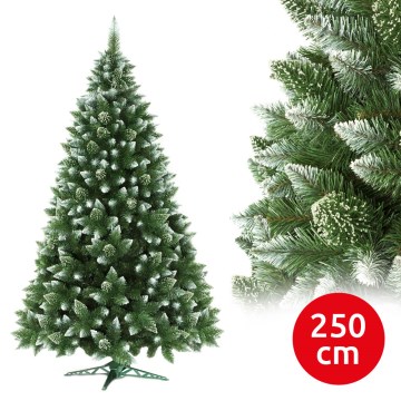 joulukuusi 250 cm mänty