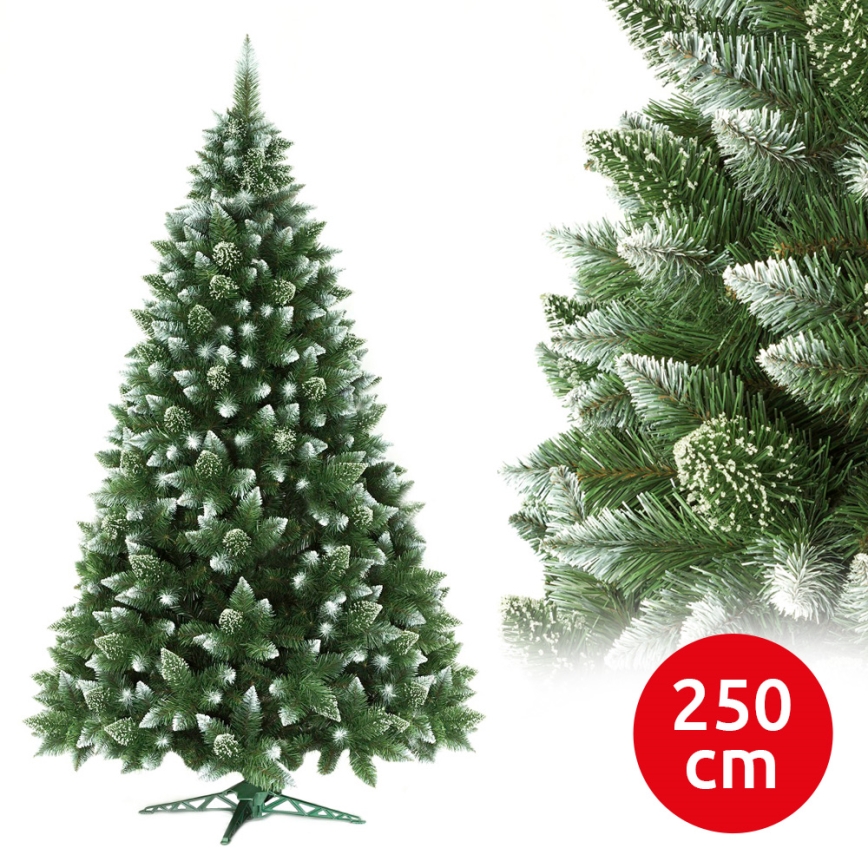 joulukuusi 250 cm mänty