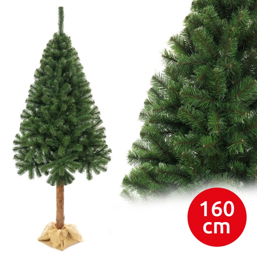 Joulukuusi rungolla 160 cm kuusi