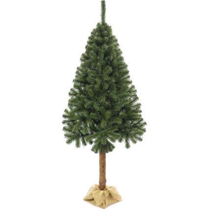 Joulukuusi runko 160 cm jalokuusi