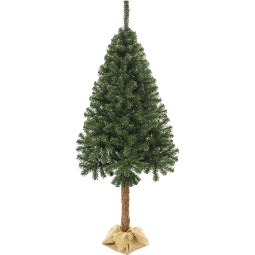 Joulukuusi runko 160 cm jalokuusi