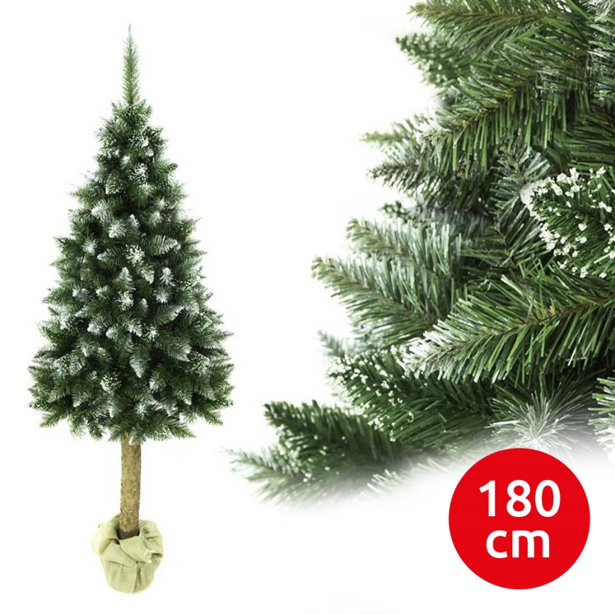 Joulukuusi runko 180 cm jalokuusi