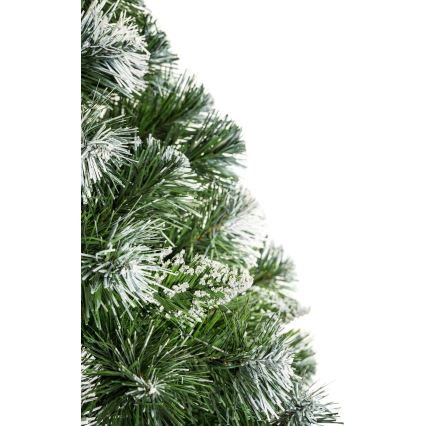 Joulukuusi runko 180 cm mänty