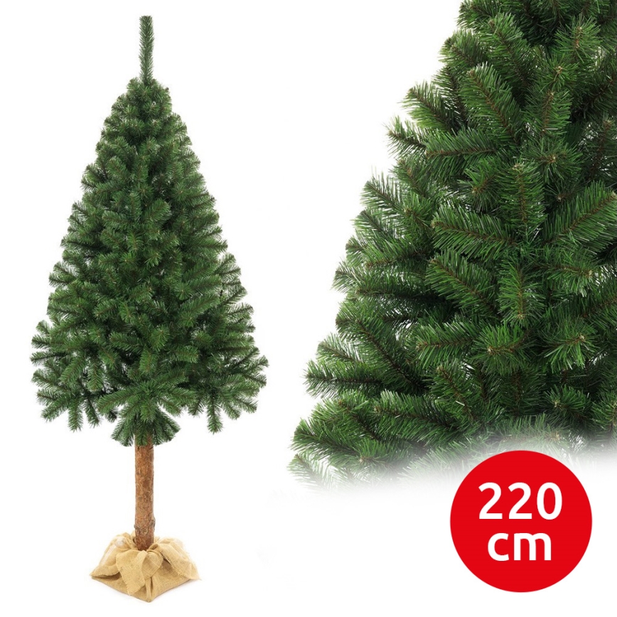 Joulukuusi runko 220 cm jalokuusi