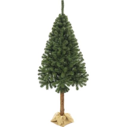 Joulukuusi runko 220 cm jalokuusi