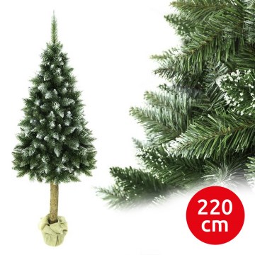 Joulukuusi runko 220 cm jalokuusi