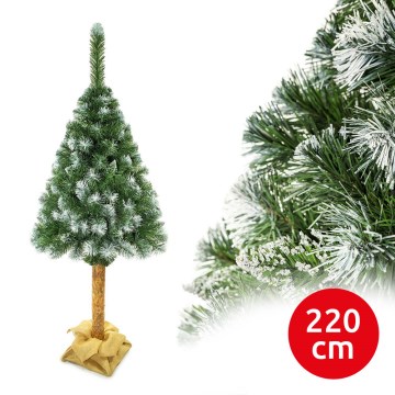 Joulukuusi runko 220 cm mänty