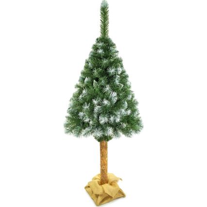 Joulukuusi runko 220 cm mänty