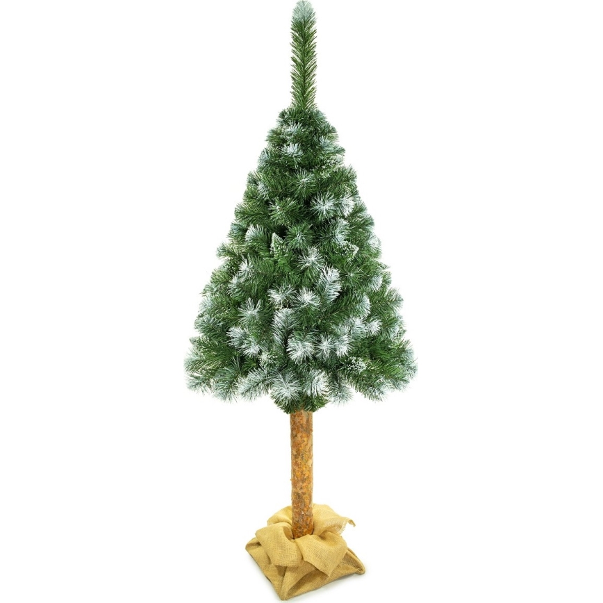 Joulukuusi runko 220 cm mänty