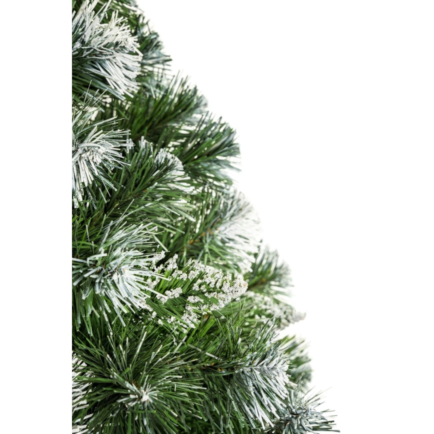 Joulukuusi runko 220 cm mänty