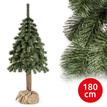 Joulukuusi runko NATURAL 180 cm jalokuusi