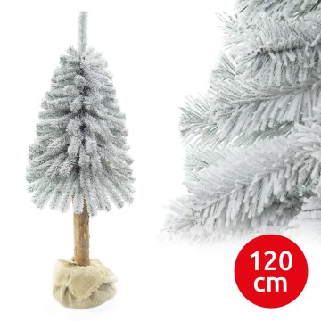 Joulukuusi runko NATURAL WITH SNOW 120 cm jalokuusi