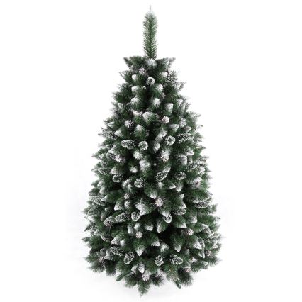 joulukuusi TAL 250 cm mänty
