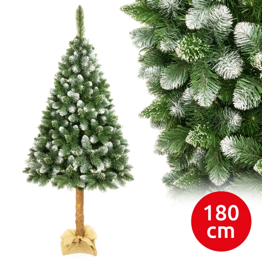 Joulupuu 180 cm mänty