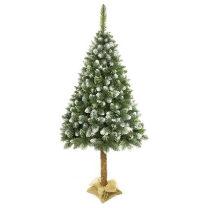 Joulupuu 180 cm mänty