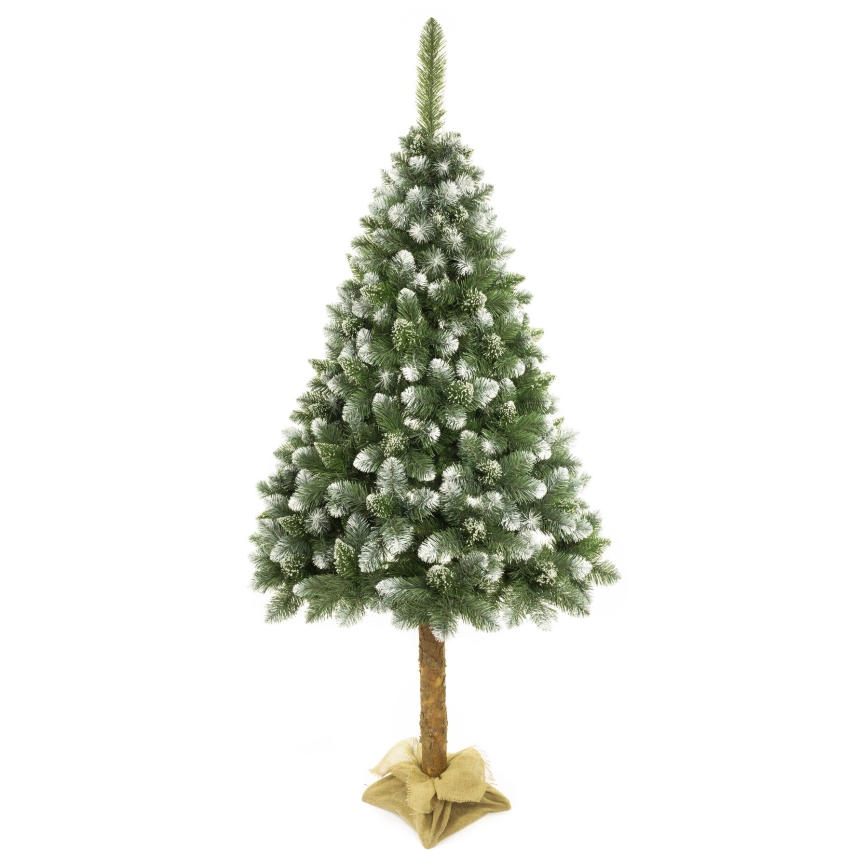 Joulupuu 180 cm mänty