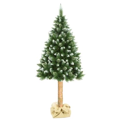 Joulupuu 180 cm mänty