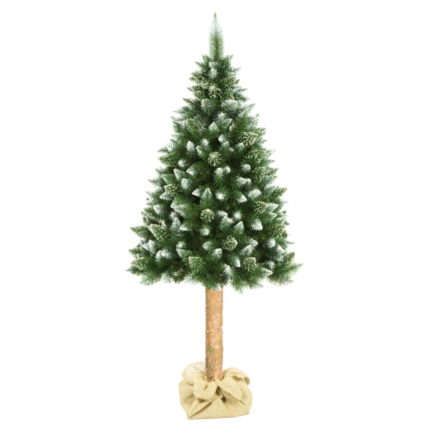 Joulupuu 180 cm mänty
