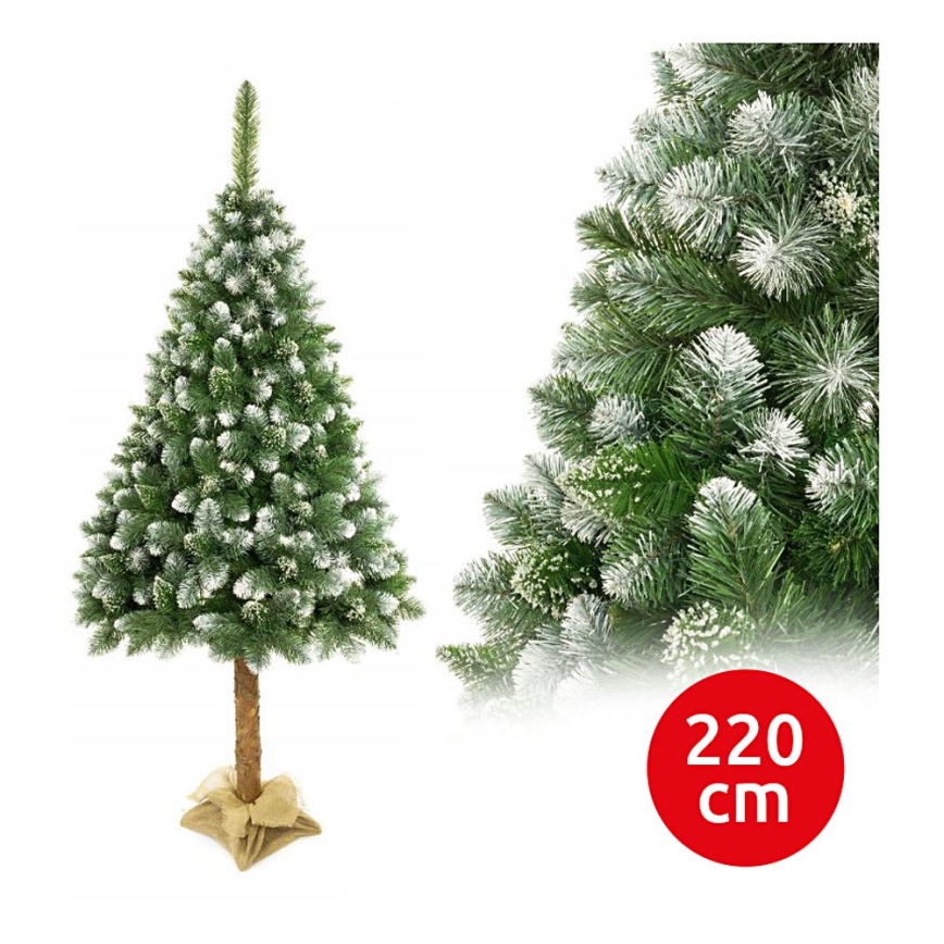 Joulupuu jalustassa 220 cm mänty