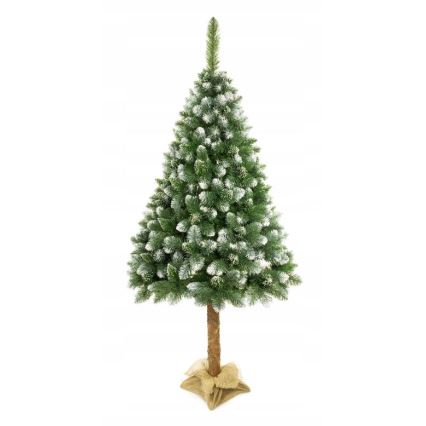 Joulupuu jalustassa 220 cm mänty