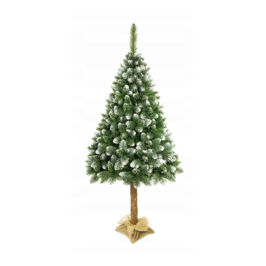 Joulupuu jalustassa 220 cm mänty