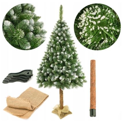 Joulupuu jalustassa 220 cm mänty