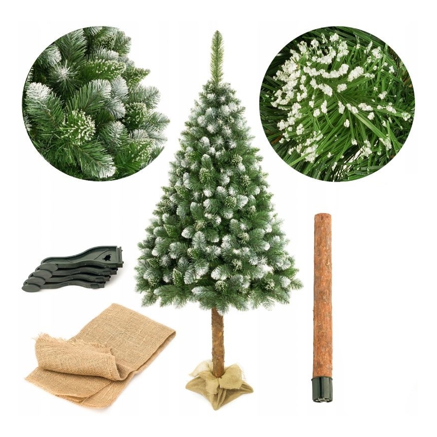 Joulupuu jalustassa 220 cm mänty