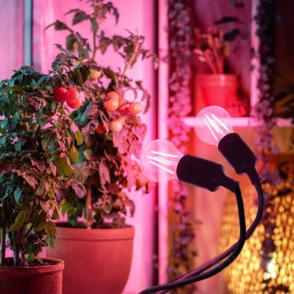 Joustava pöytävalaisin klipsillä kasvien kasvattamiseen PLANTY 2xE27/30W/230V musta