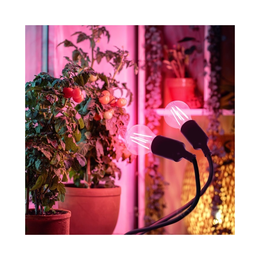 Joustava pöytävalaisin klipsillä kasvien kasvattamiseen PLANTY 2xE27/30W/230V musta