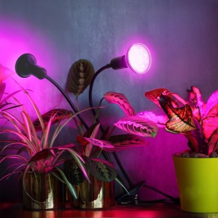 Joustava pöytävalaisin klipsillä kasvien kasvattamiseen PLANTY 2xE27/30W/230V musta