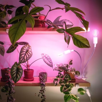 Joustava pöytävalaisin klipsillä kasvien kasvattamiseen PLANTY 2xE27/30W/230V valkoinen