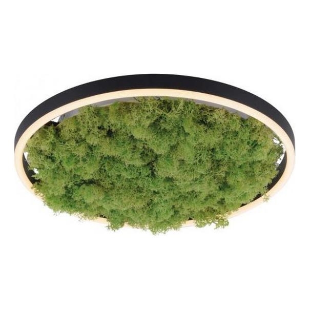 JUST LIGHT. 15391-66 - Himmennettävä LED-kattovalaisin VIHREÄ RITU LED/20W/230V