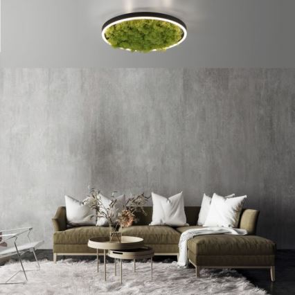 JUST LIGHT. 15391-66 - Himmennettävä LED-kattovalaisin VIHREÄ RITU LED/20W/230V