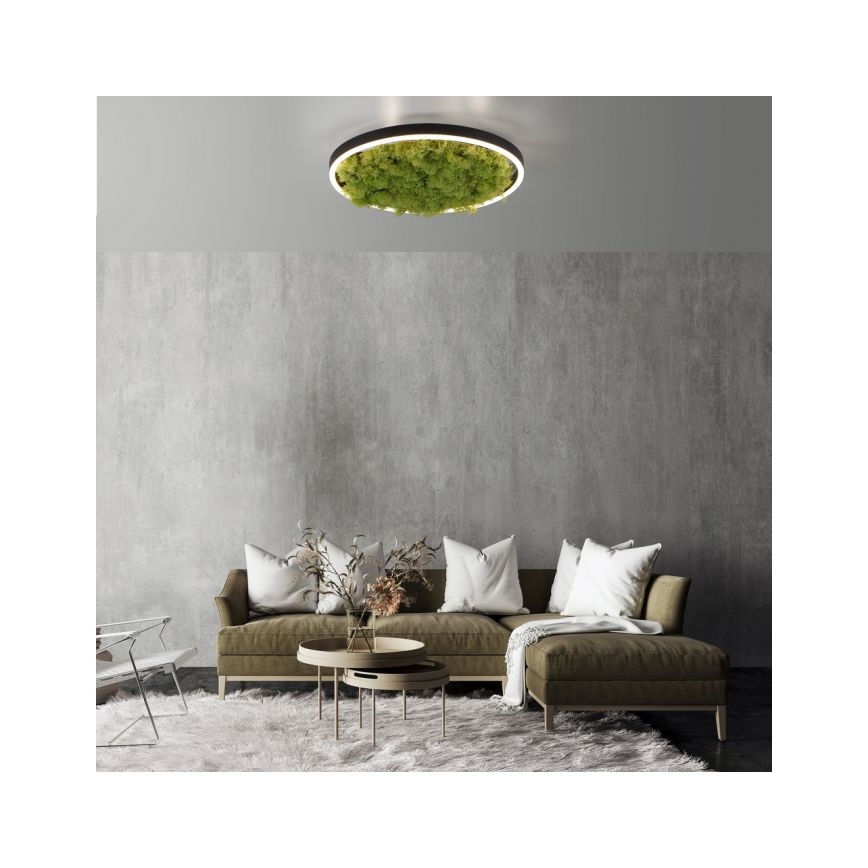 JUST LIGHT. 15391-66 - Himmennettävä LED-kattovalaisin VIHREÄ RITU LED/20W/230V