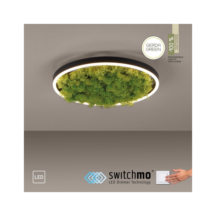 JUST LIGHT. 15391-66 - Himmennettävä LED-kattovalaisin VIHREÄ RITU LED/20W/230V